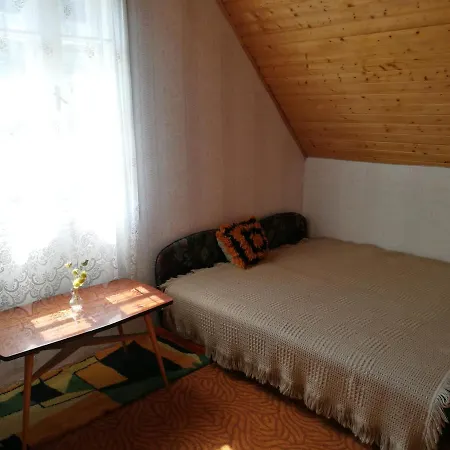 House Retro 別荘 Szántód